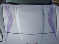 100_0218.jpg