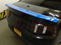 All pics from camera 005.jpg