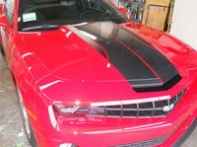 All pics from camera 013.jpg