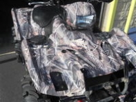 All pics from camera 010.jpg